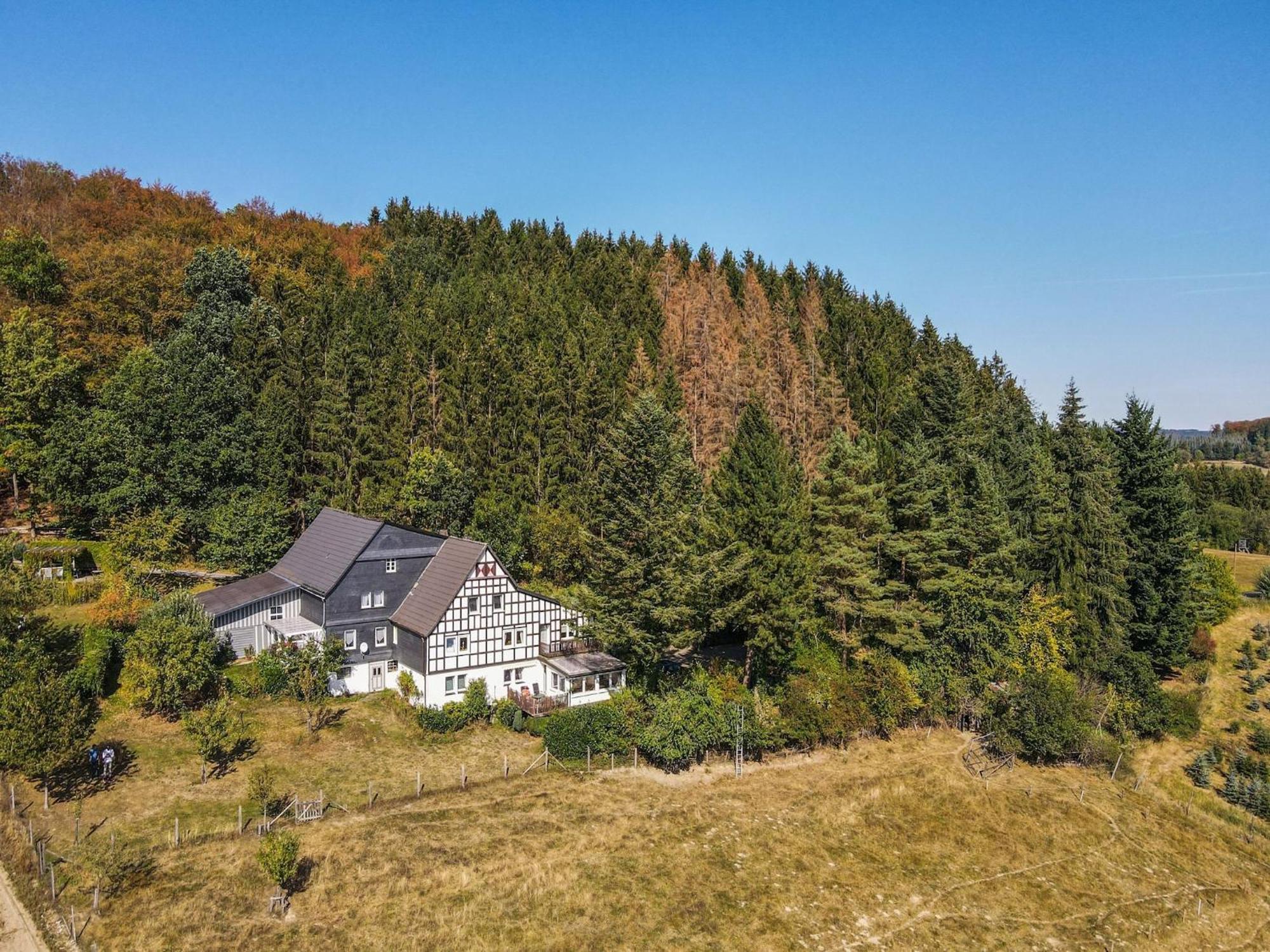 Cosy Apartment In Menkhausen Near The Ski Area Schmallenberg Kültér fotó