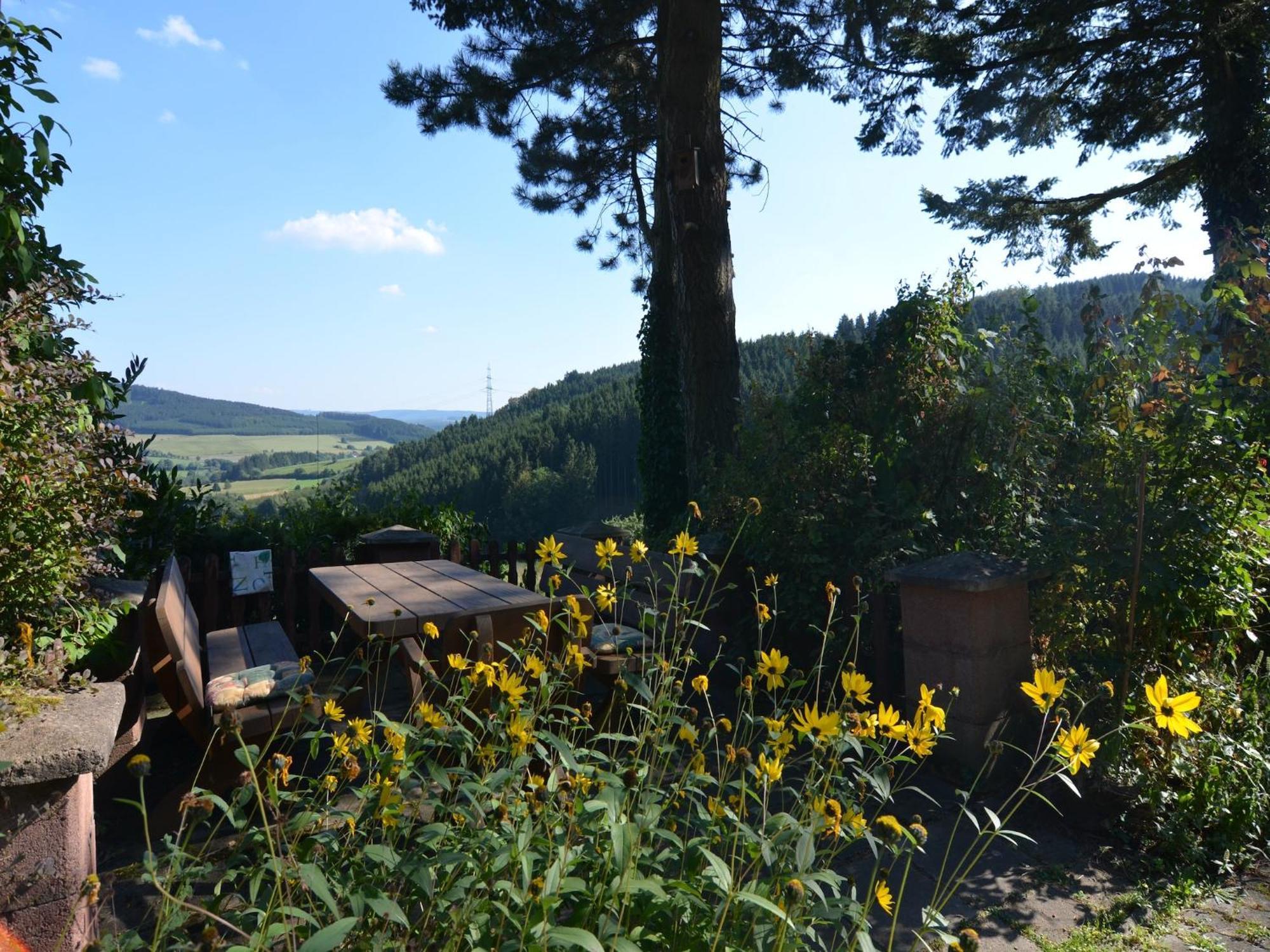 Cosy Apartment In Menkhausen Near The Ski Area Schmallenberg Kültér fotó